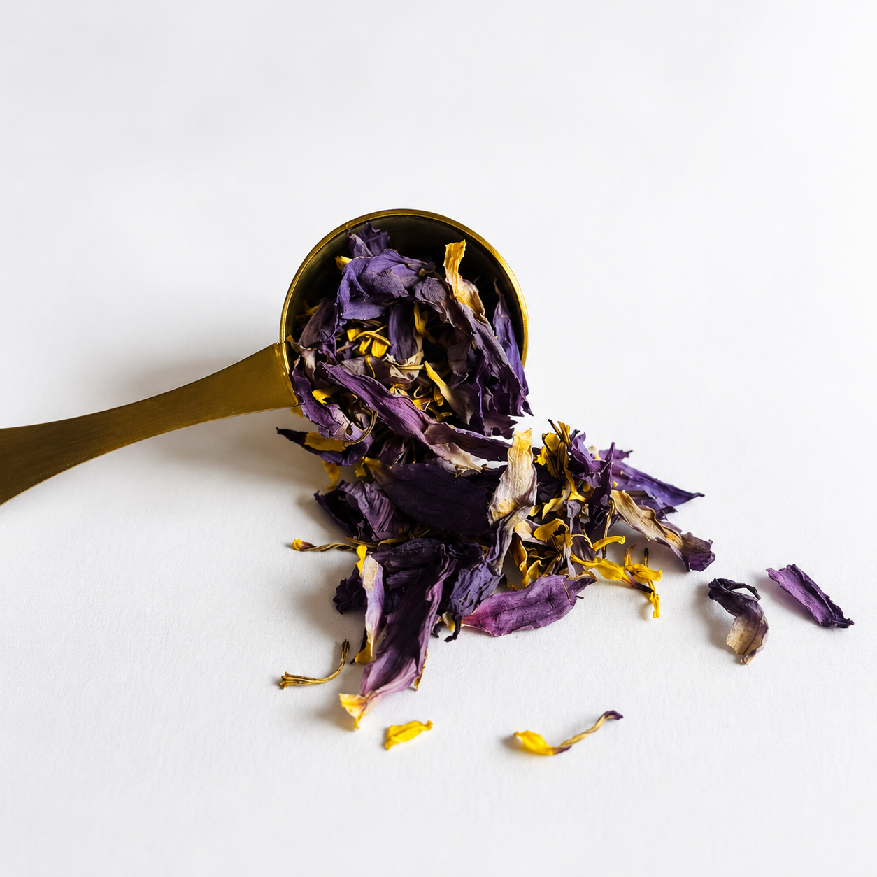 Blauwe Lotus thee | Sabi Leaves