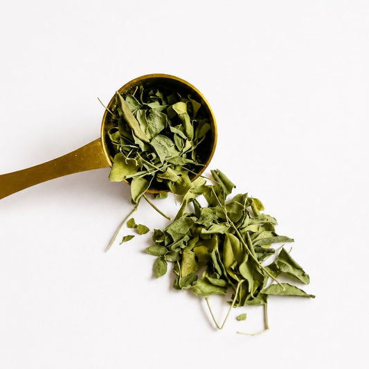 Moringa thee | Suriname | Sabi Leaves