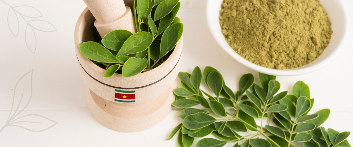 Sabi Leaves Thee
